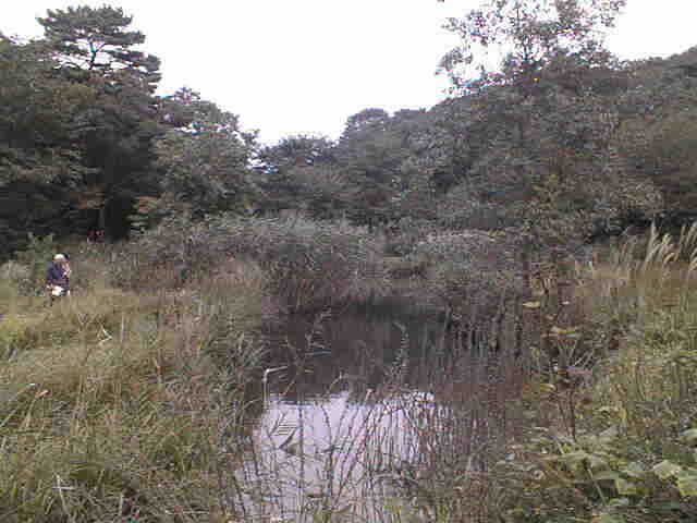 水生植物園