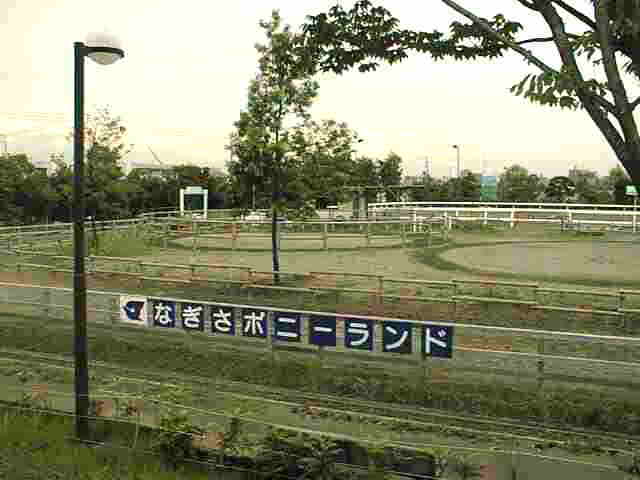 なぎさ公園のポニー乗り場